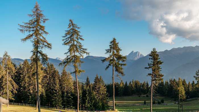 sommerurlaub-auf-der-alm-in-den-dolomiten-in-suedtirol (1)